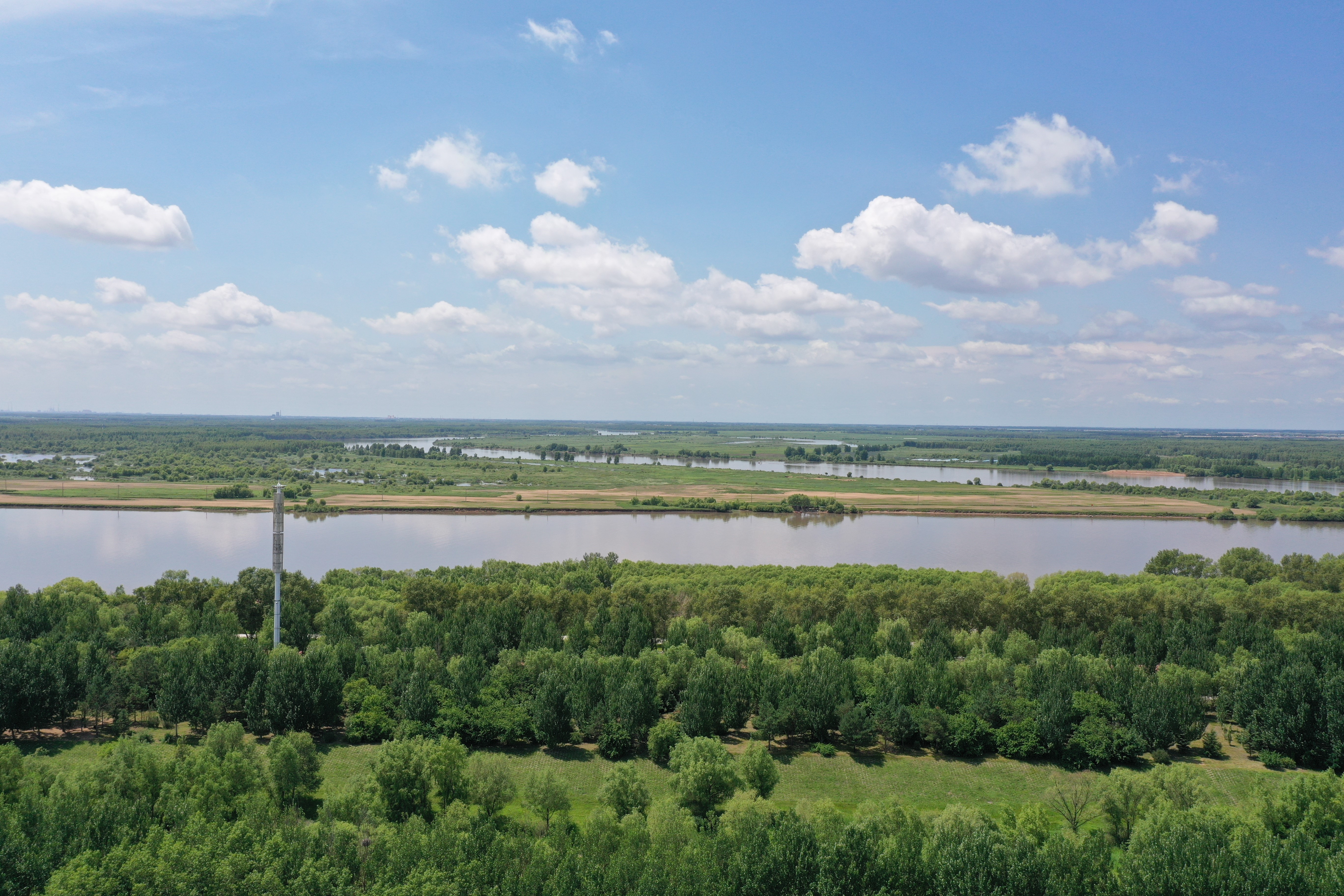 黑龙江甘南县用品牌意识唤醒绿色经济