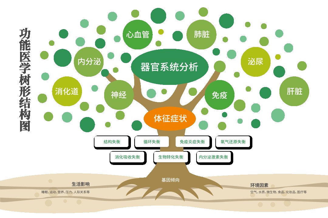 美好生活 健康启程 | 走进功能医学认识瑞安百年_财富号_东方财富网