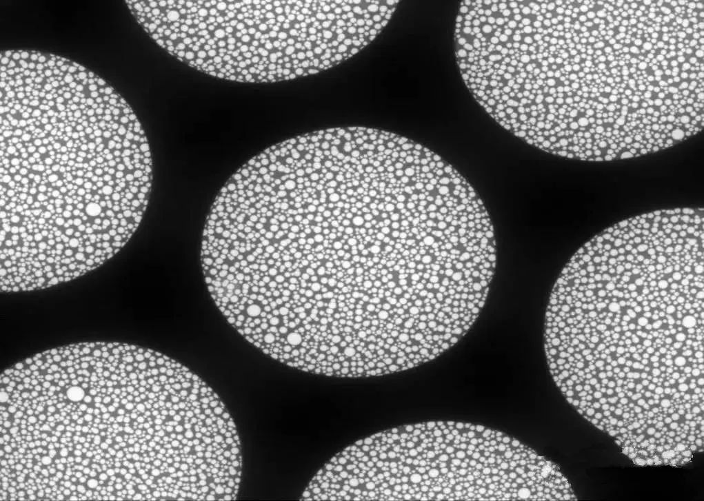 透射电镜tem中如何正确制样和选择载网