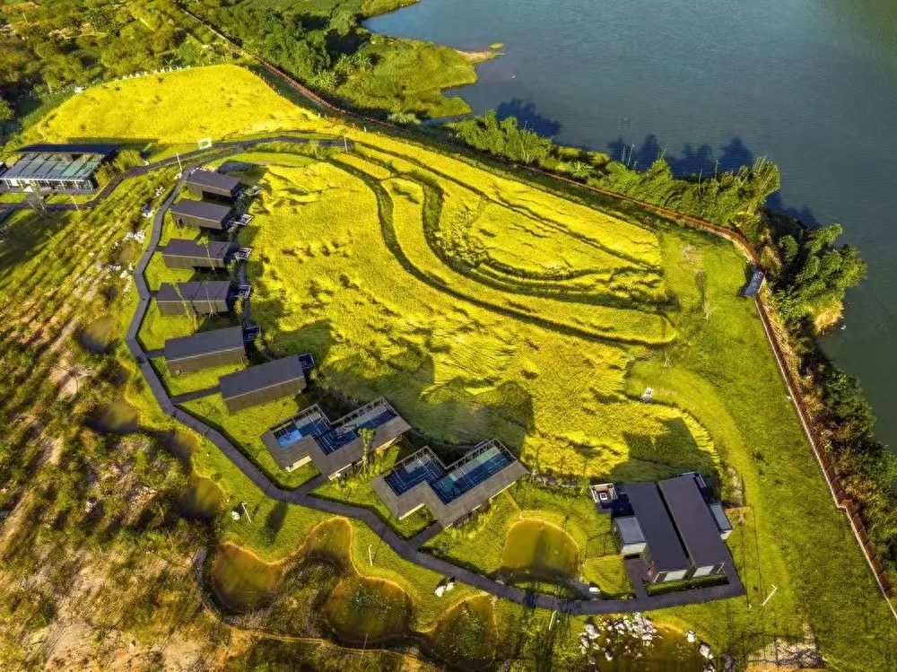 乡村旅游节后热度不跳水携程度假农庄预订量逆势大增371