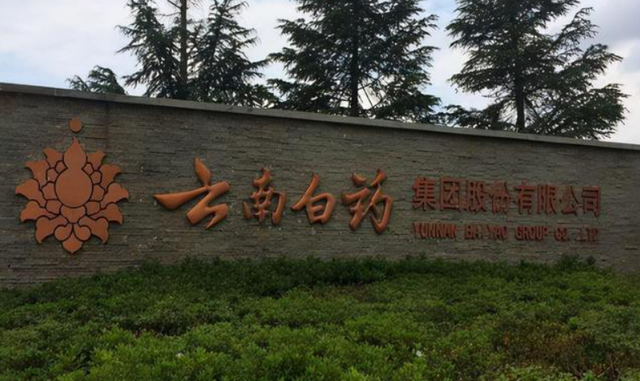 自我纠错的云南白药、多元化仍需脚踏实地_财富号_东方财富网