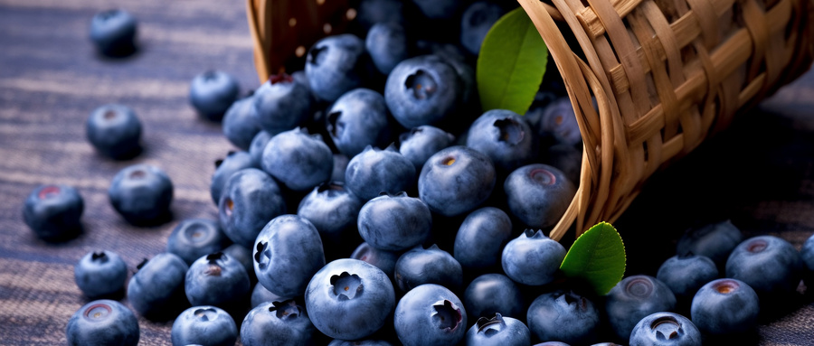 摄图网_600228914_wx_健康的蓝莓（企业商用）.jpg