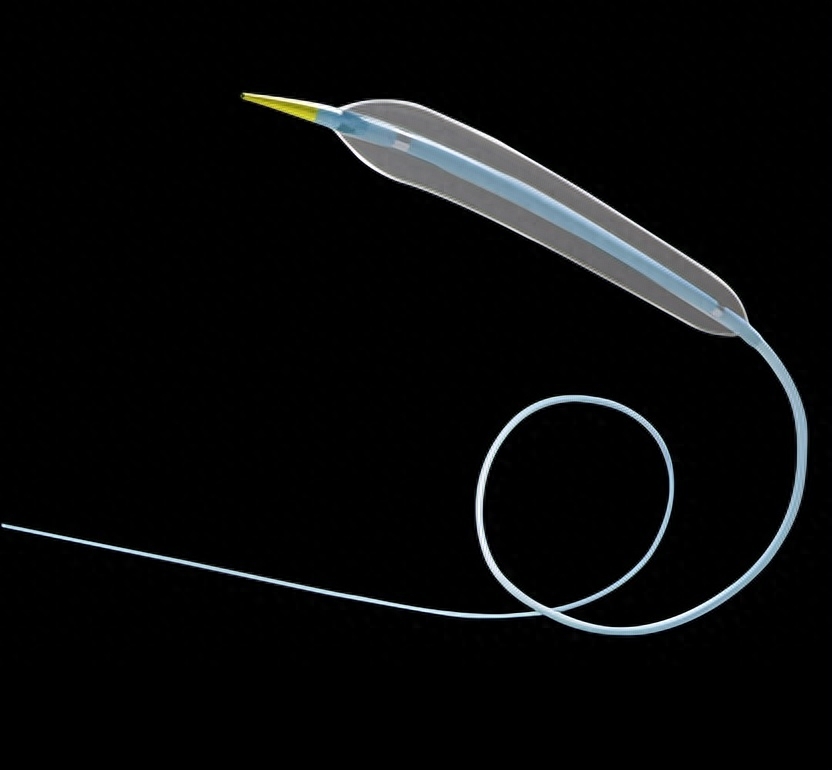 球囊是什么医疗器械“中国最大”，介入械企拟IPO_https://www.jmylbn.com_新闻资讯_第9张