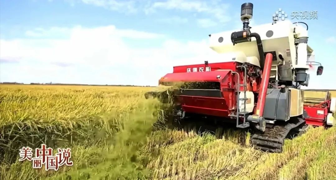 沃得农机农业重器持续上新助力农业强国建设