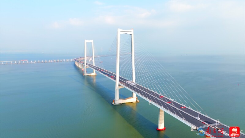 “稳预期 强信心 扩内需——期货行业在行动”| 华西期货总经理魏哲平:以定制化期货方案为抓手 为中小微企业筑起风险“防护墙”