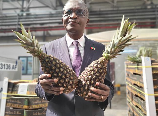 不容错过专业代理贝宁菠萝进口清关手续和流程