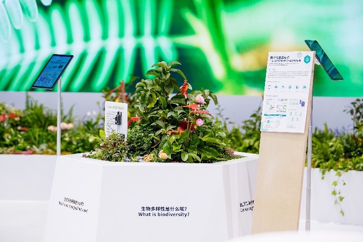 索尼于进博会首发新型环境技术“协生农法”智能协生APP-家电圈官网