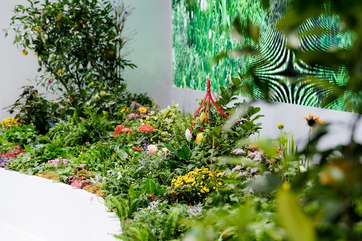 索尼于进博会首发新型环境技术“协生农法”智能协生APP-家电圈官网