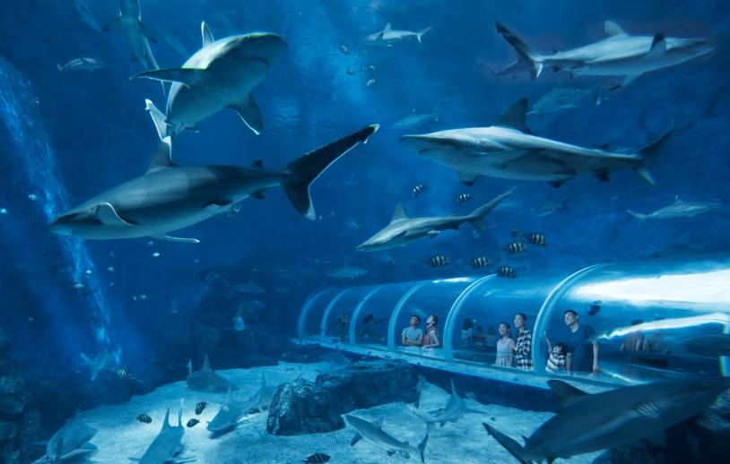 海洋主题展馆如何设计