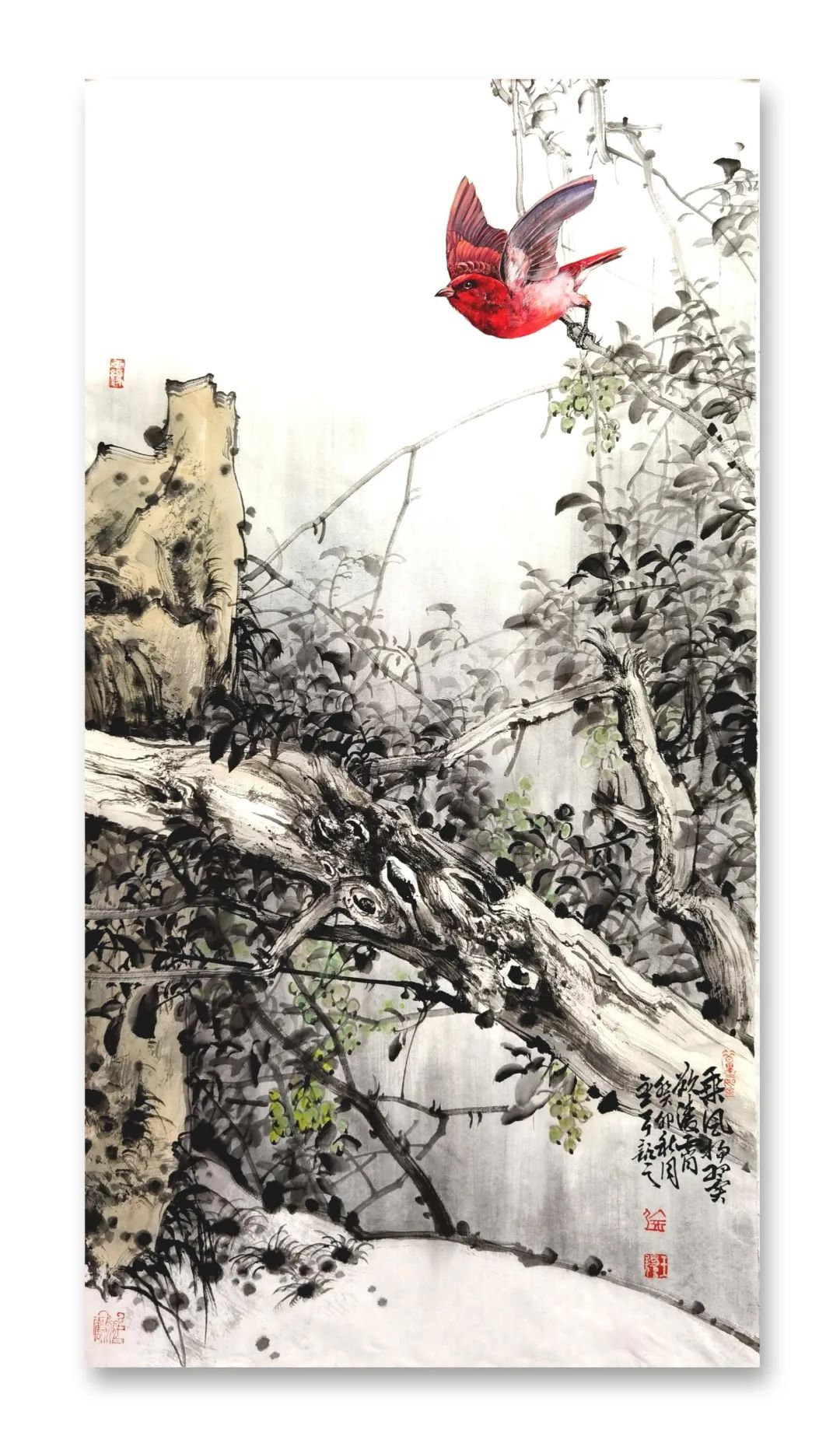 笔墨纵横写逸气一一品读王锡强花鸟画作