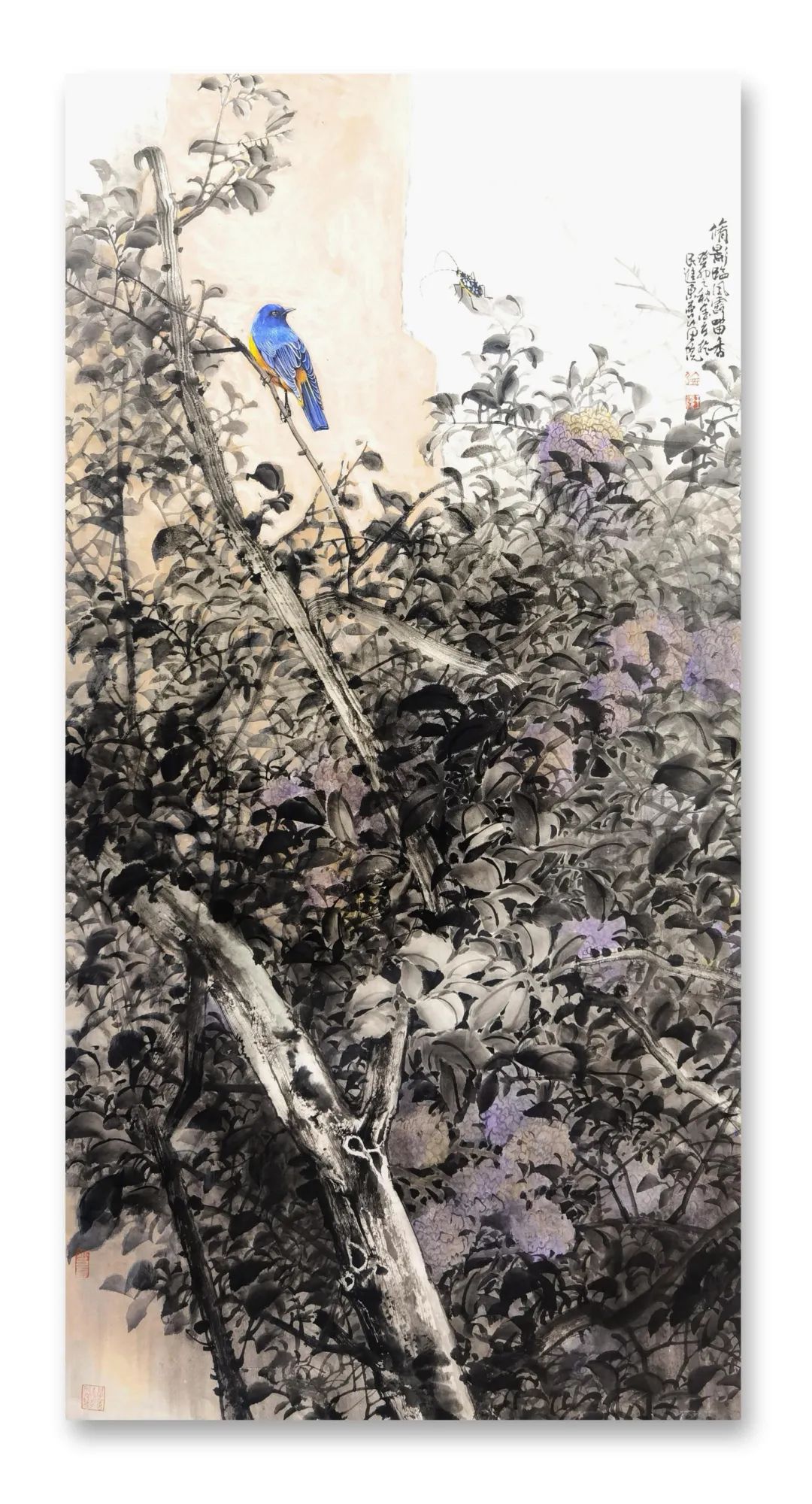 笔墨纵横写逸气一一品读王锡强花鸟画作