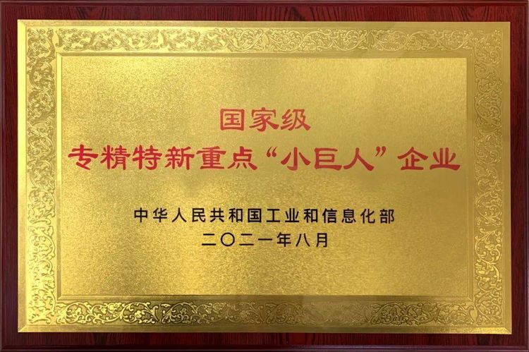 数字化转型助力中小企业加快实现专精特新小巨人企业