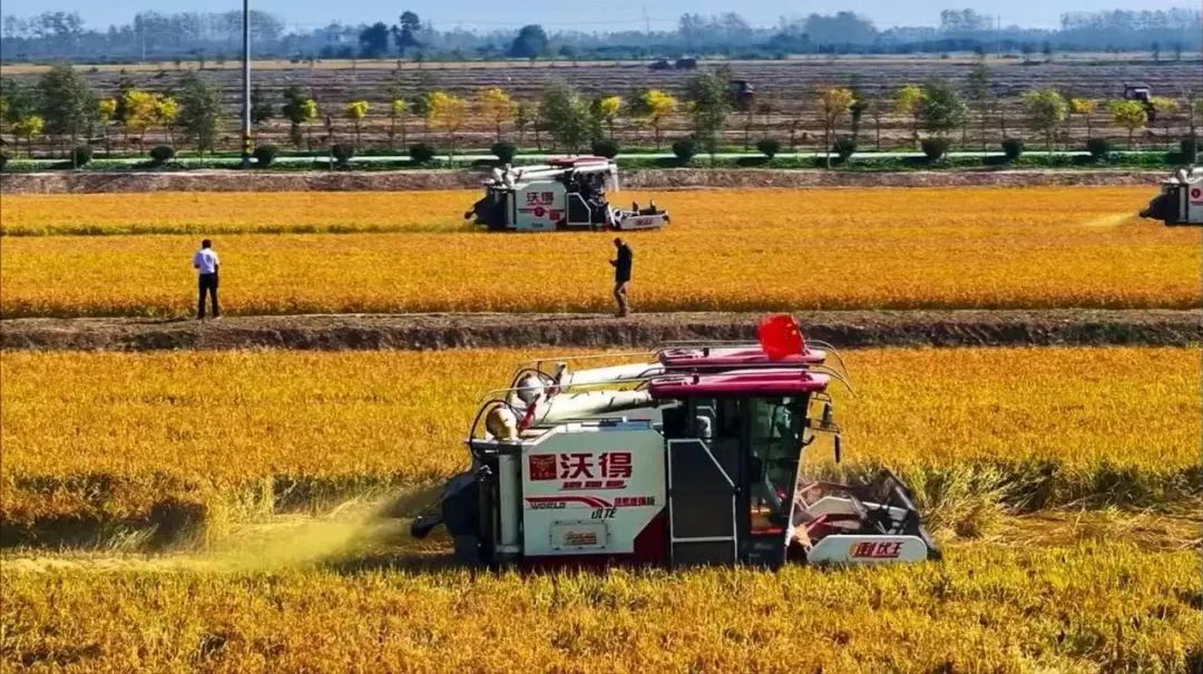 农业农村部部长唐仁健东北地区使用的都是大马力农机
