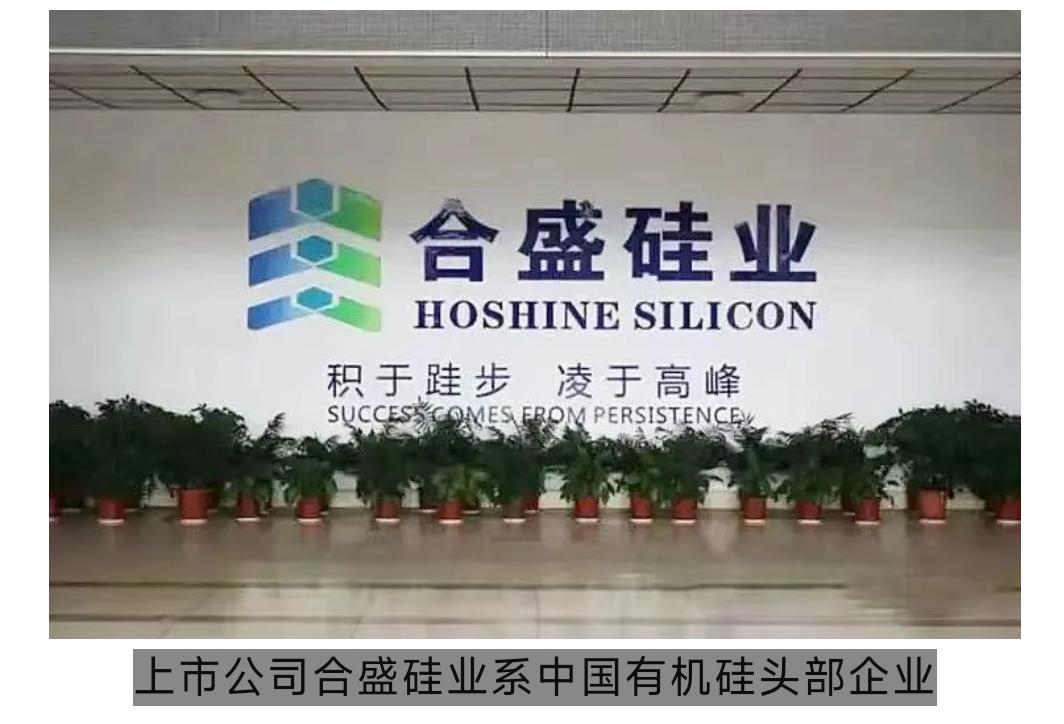 浙江千亿富豪合盛硅业董事长被原总经理之妻举报上交所发函公司紧急