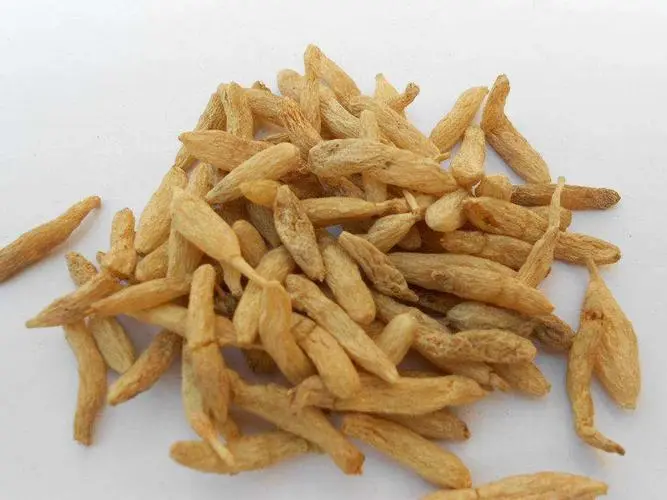 【药材鉴别】同属于补阴药,天冬和麦冬的区别你了解吗?