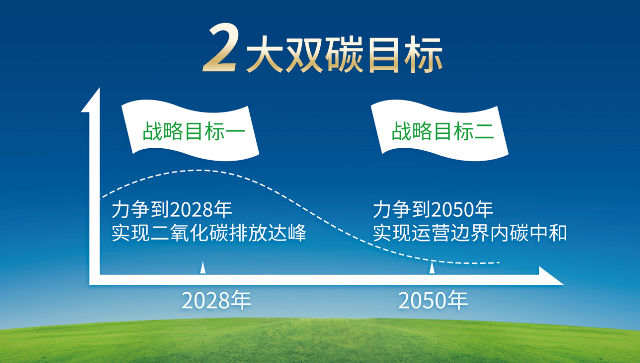 两大战略目标是指什么