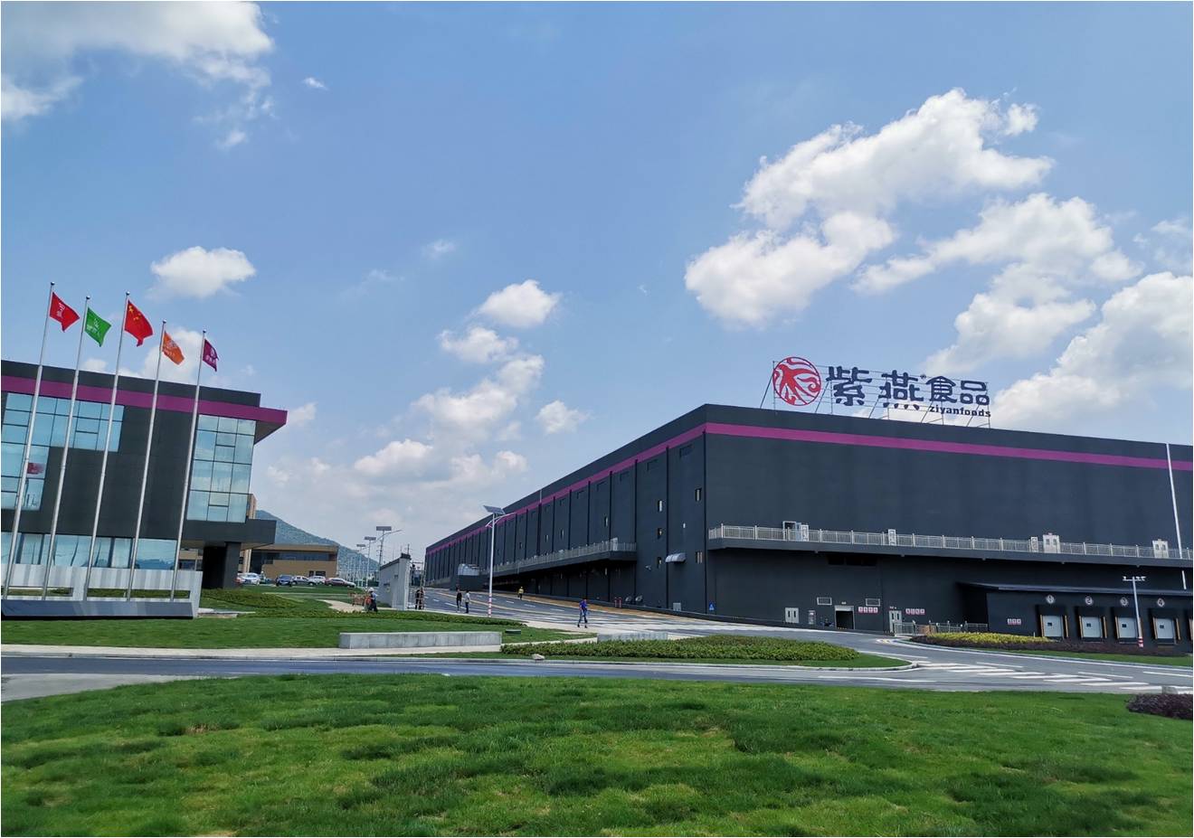 紫燕食品二度牵手温氏股份共同打造高效健康食品供应链