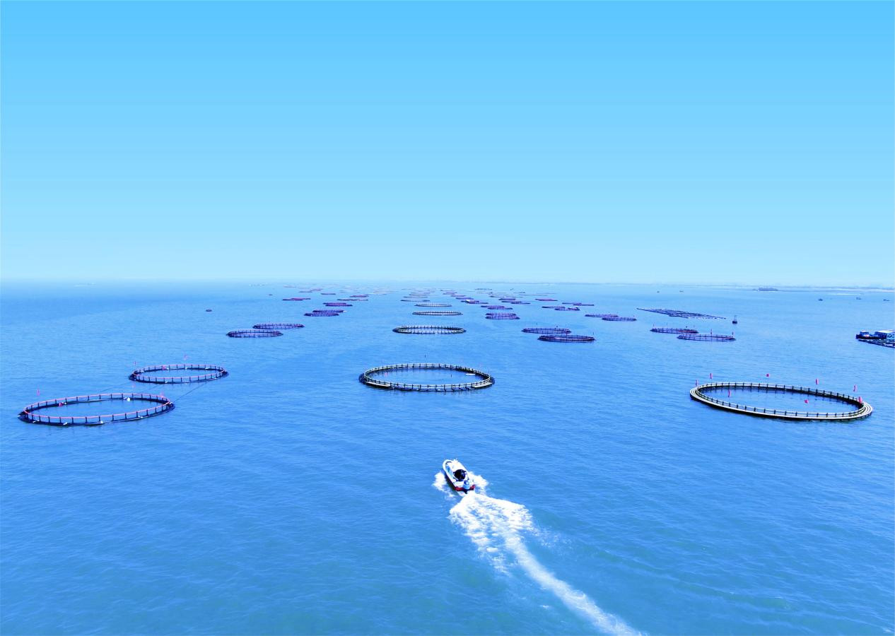 首页>创作中心>正文>2010年,广东省首个深海养殖网箱产业园在特呈岛