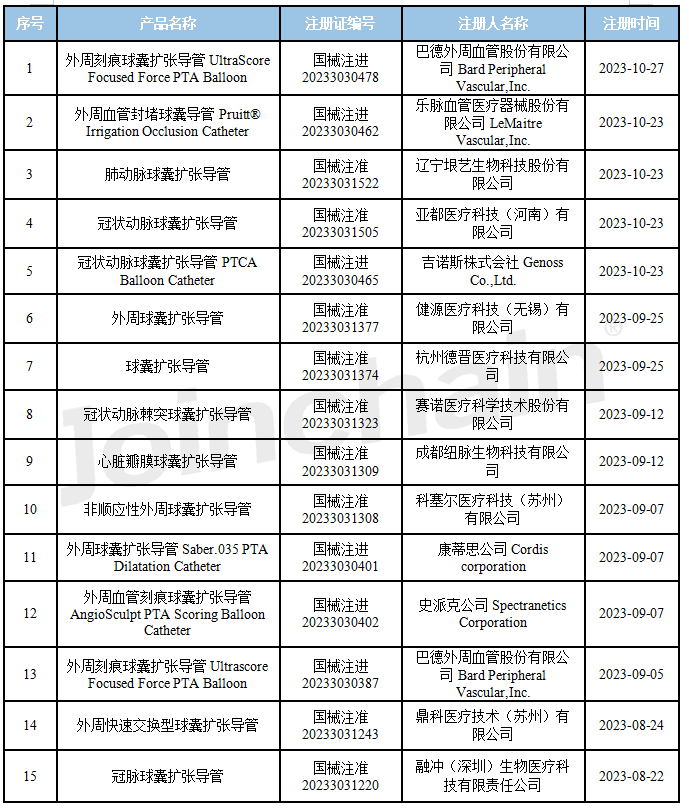 產品註冊球囊擴張導管產品註冊報告2023年110月