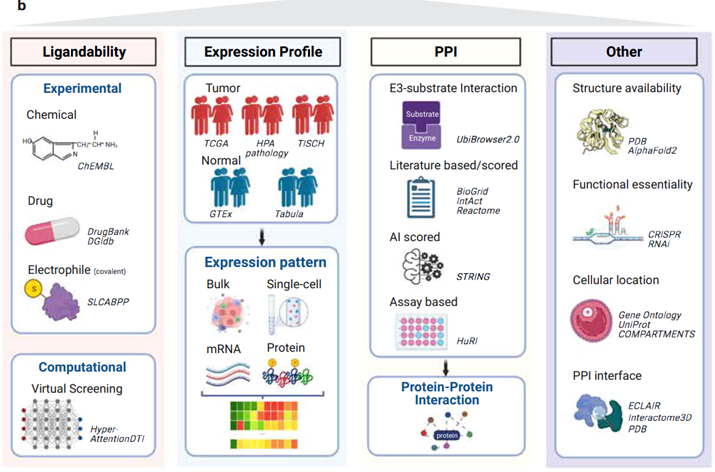 三十個大規模數據集分析,包括3個e3連接酶列表,5個配體庫,5個表達圖譜