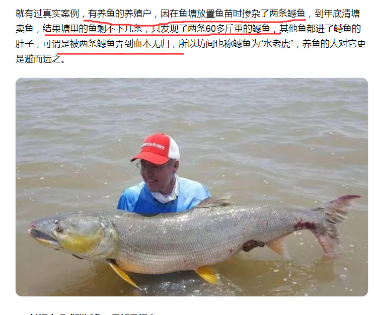 股市中的主力莊家就像鱤魚一樣,他們要吃掉很多小魚養大自己,北證回調