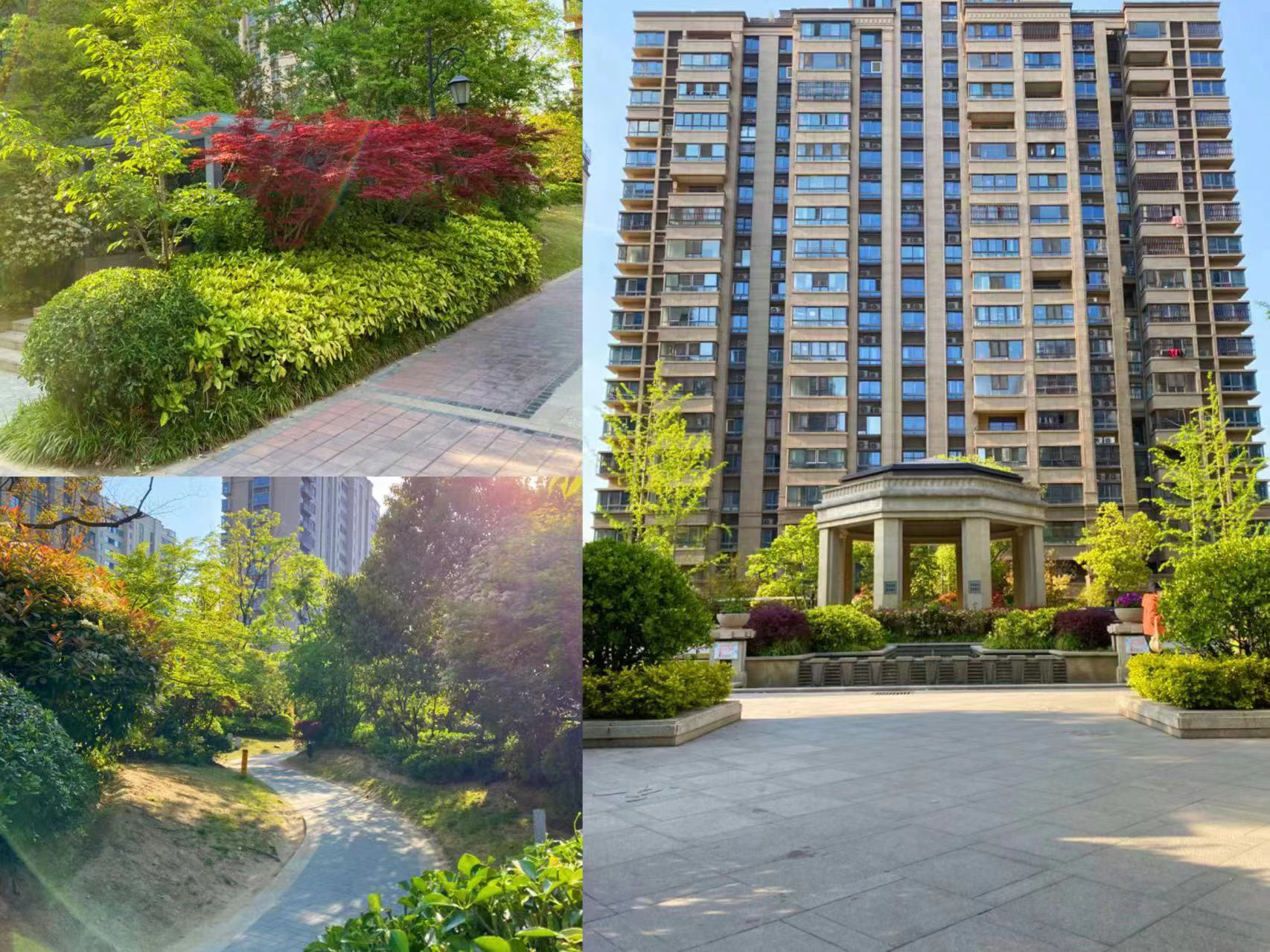 彩生活获颁物业英雄秉心自超越担当是英雄