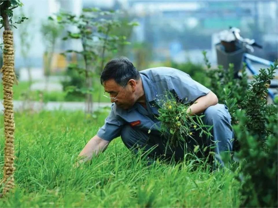 華商韜略全國工商聯9月12日發佈的