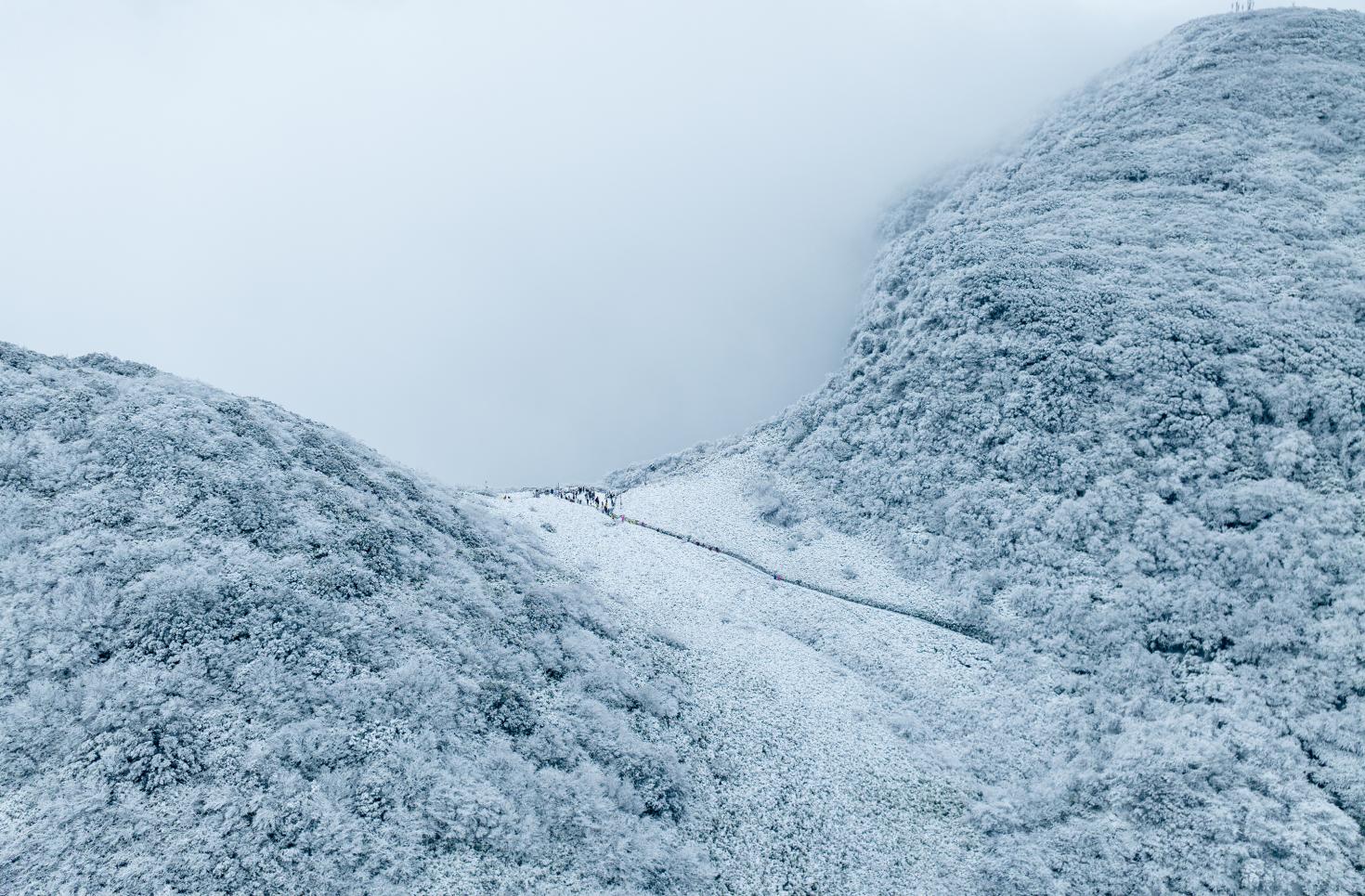 金佛山初雪来了重庆人可以约着玩雪了