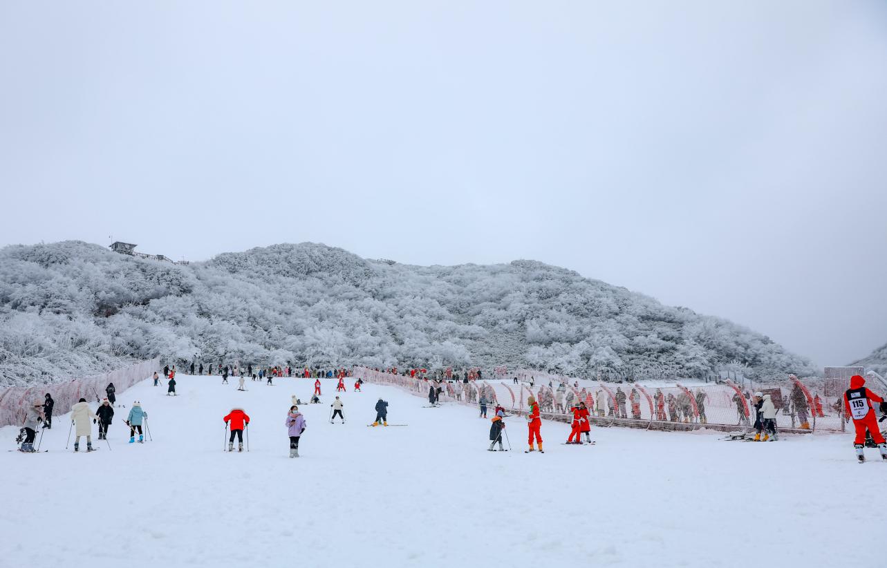 金佛山初雪来了重庆人可以约着玩雪了