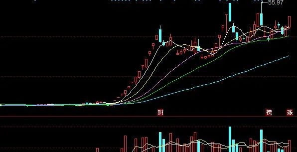 北向資金入場瞄準龍頭股份賽力斯引力傳媒新易盛通化金馬聖龍股份