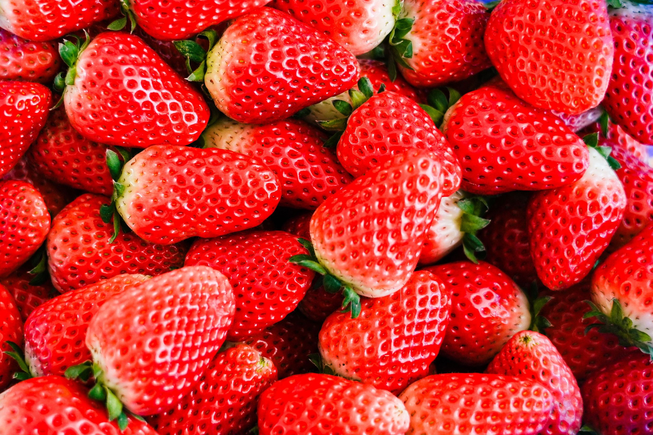 一斤10元草莓价格大跳水