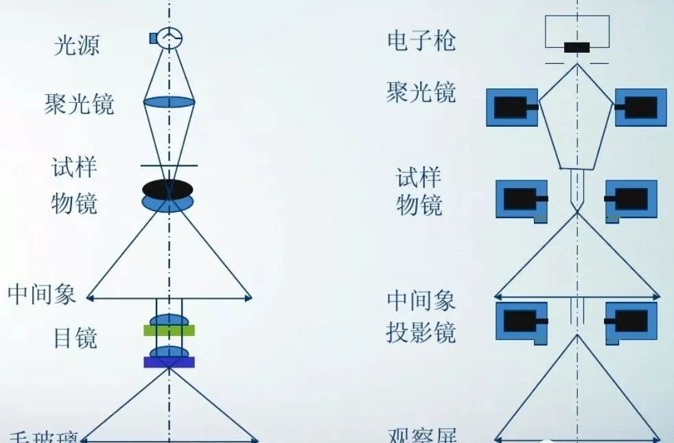 金相显微镜光路简图图片