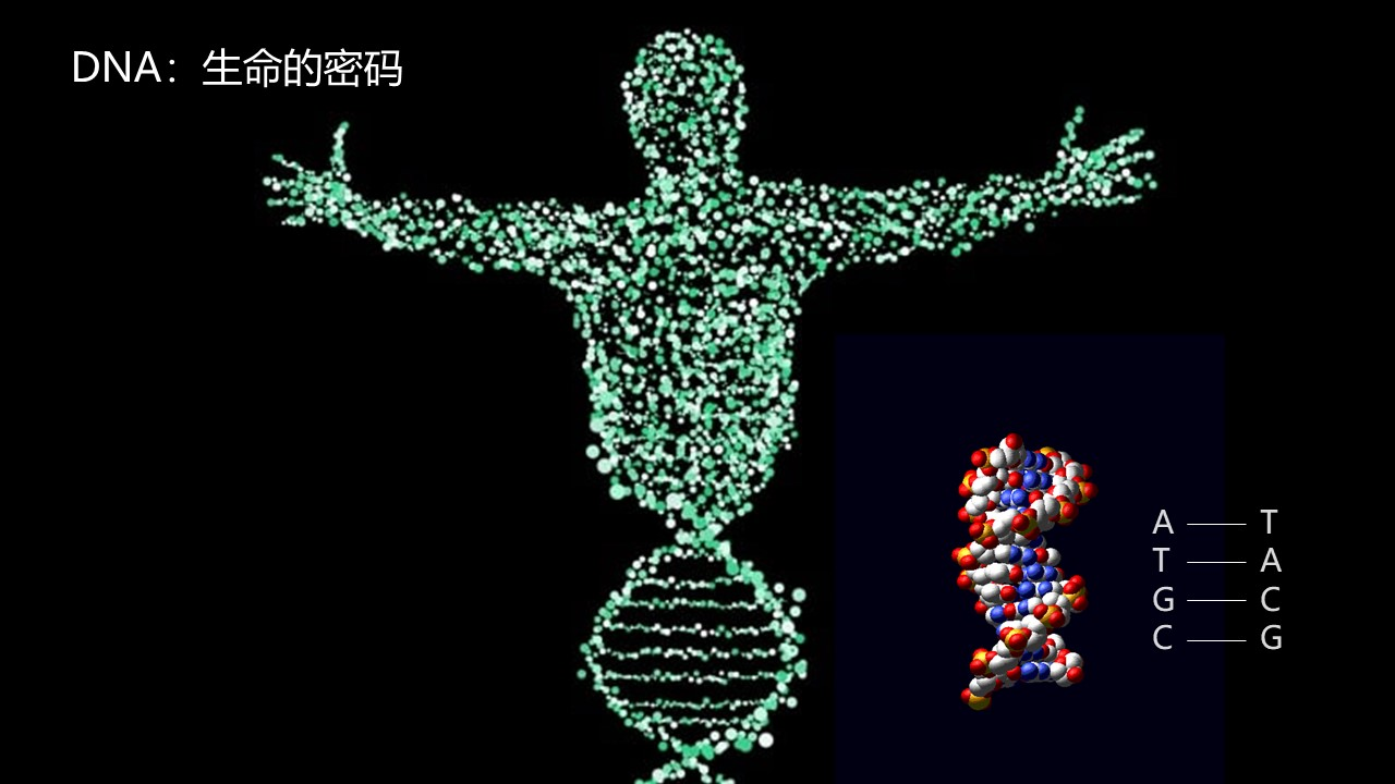 25日合成生物學問界m9龍字輩跨年龍小表哥