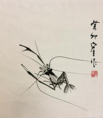 心中有白虾挥墨为祥龙· 新锐艺术家郭宏生为虾痴狂