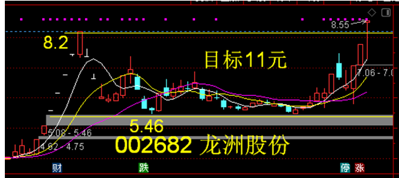 龍洲龍宇威龍昨天漲停的3小龍誰更能馬不停蹄的迎接龍年