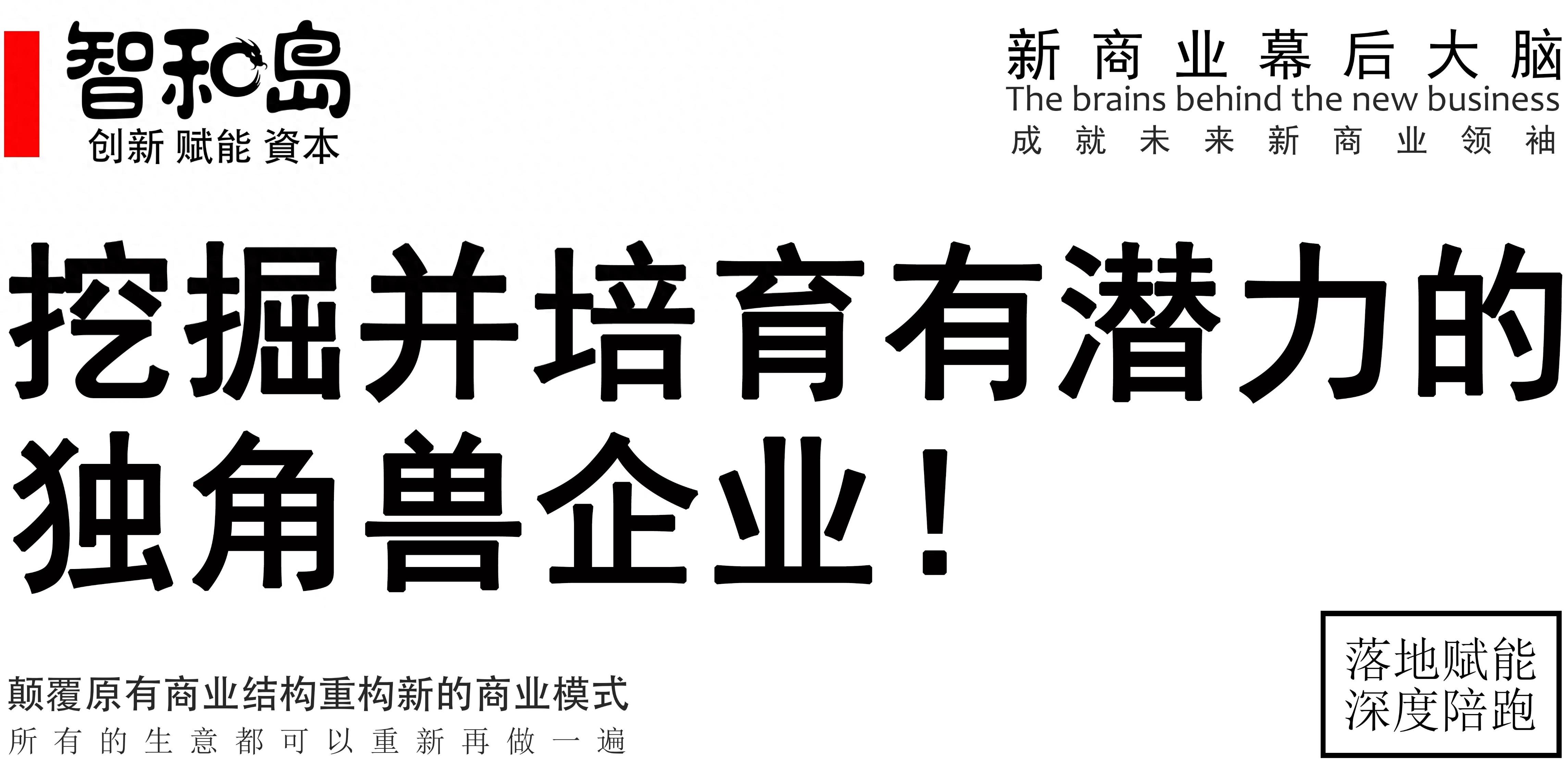 向華為理想比亞迪等企業致敬雷軍才是營銷之神