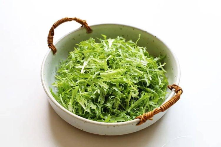 苦菊生活中的一味健康清苦