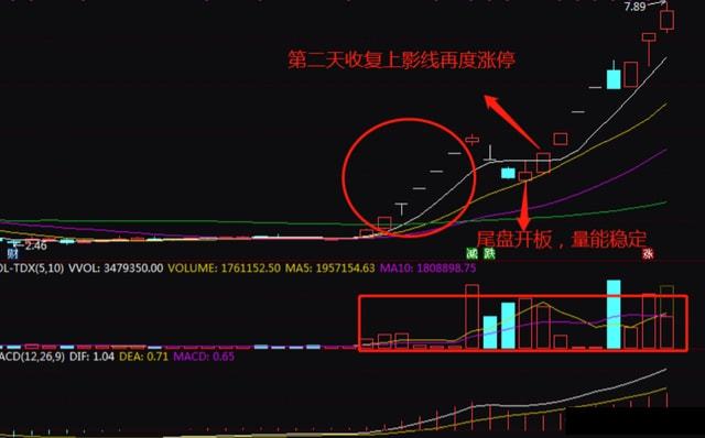 來自一位頂級交易員的自述為什麼散戶拿不住股票看完受益匪淺