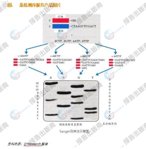 桑格测序服务市场规模:预计2029年全球市场规模将达212.47百万美元_财富号_东方财富网