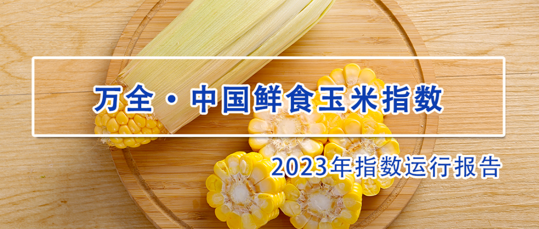 万全鲜食玉米指数2023年运行报告