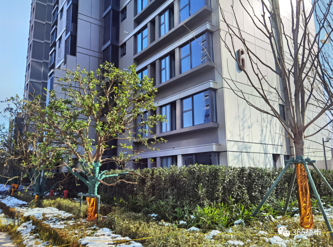 入户大厅稍显局促,没有金地大成雅境看上去大气,比较符合小区"小而美"