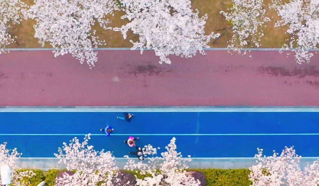 家电商流渠道冰火两重天 不同层面的经销商感受不同-家电圈官网