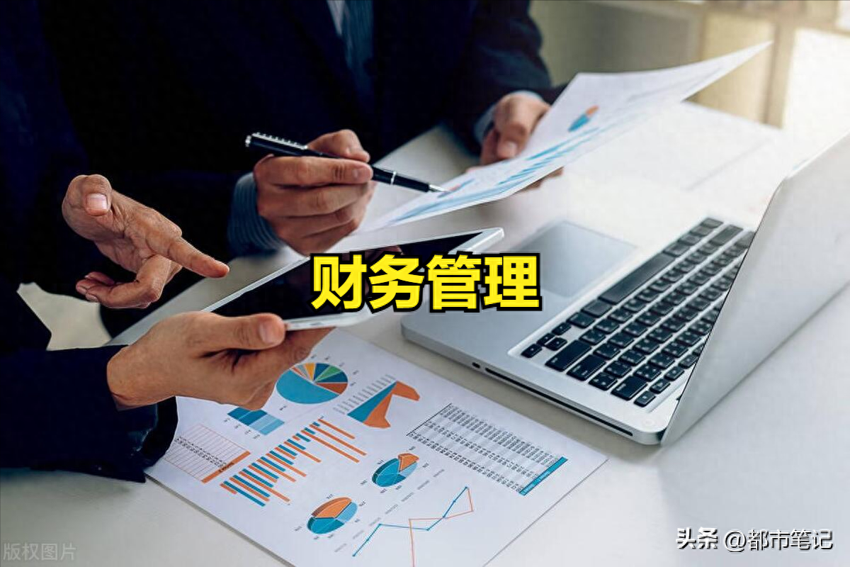 行为金融学炮仗理论第6章财务管理之1资金的合理性分配