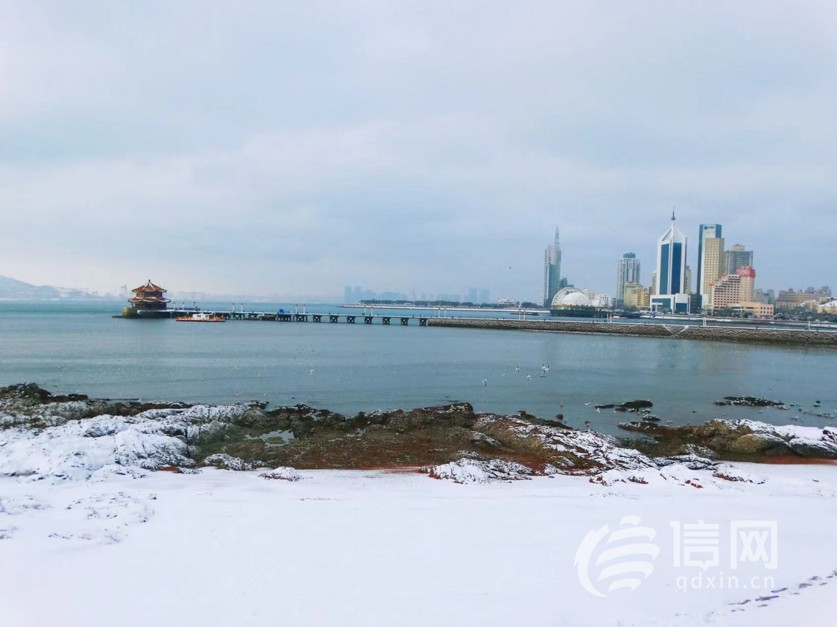 青岛海边雪景图片