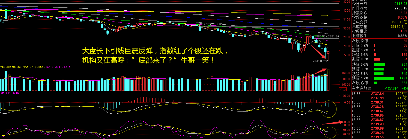  千股跌停“洗刷刷”，三大指数“地震了”！银行股还在扛着