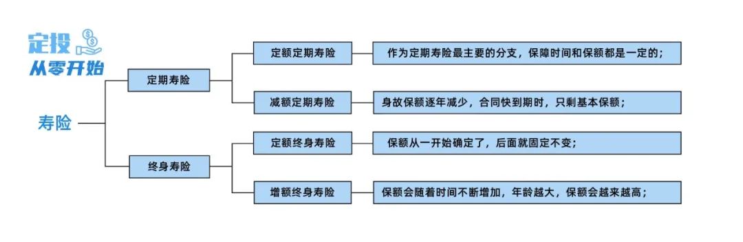 2024年2月定期壽險測評