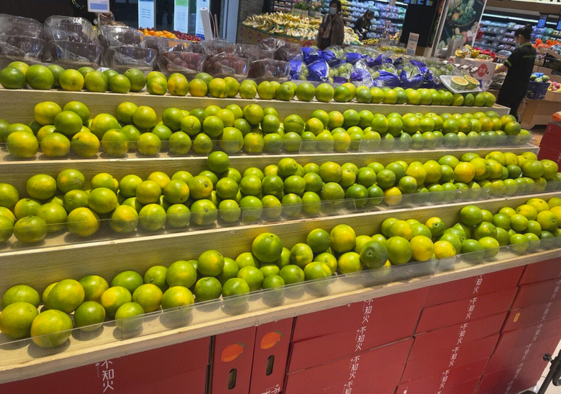 《招股书》显示,除在丽宫股份任职外,欧栢贤还在做物流代理的