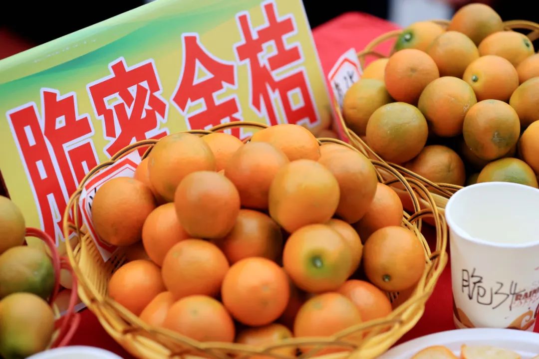 昔日春节顶流砂糖橘涨价后败给了耙耙柑