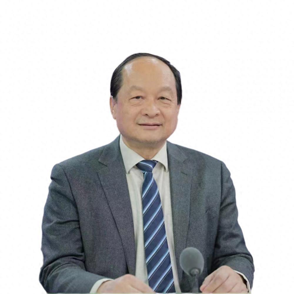 太和智库高级研究员丁一凡共建一带一路助力东南亚国家工业化