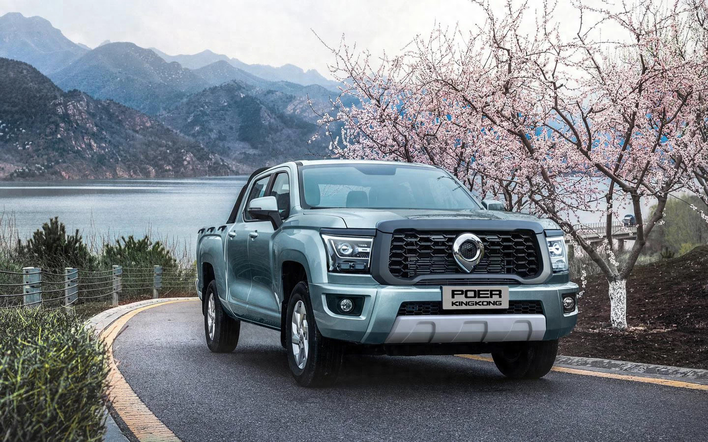 如何选购皮卡海外学者眼中7款中国皮卡排名优势和劣势分析
